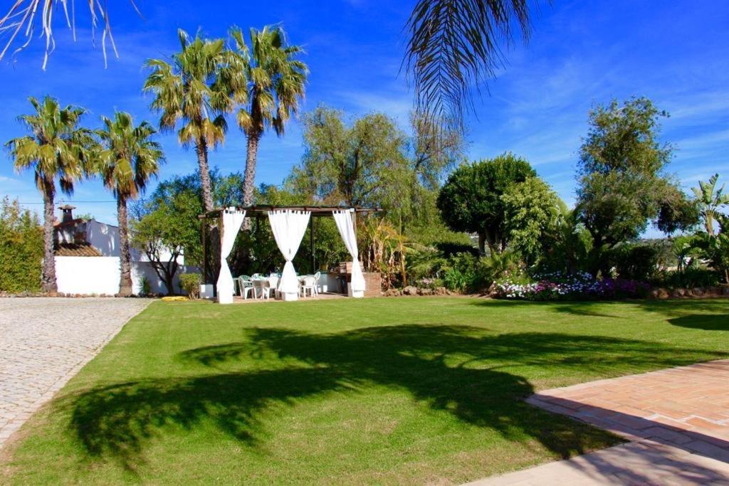 Farmhouse Casa Da Avo Loulé Exteriér fotografie